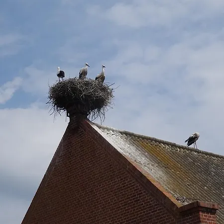 Апартаменты Havelhof-nitzow Nitzow