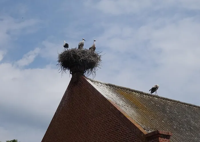 Apartment Havelhof-nitzow Nitzow